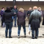 teamdag, teambuilding bedrijfsuitje, Innerqi, teambuilding Noord Holland, paardencoaching