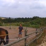 paardencoaching, coach, Ferdinand Aukes
