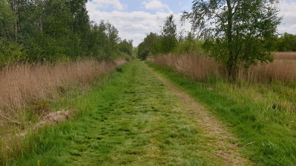Wandelcoaching bij Eernewoude, InnerQi