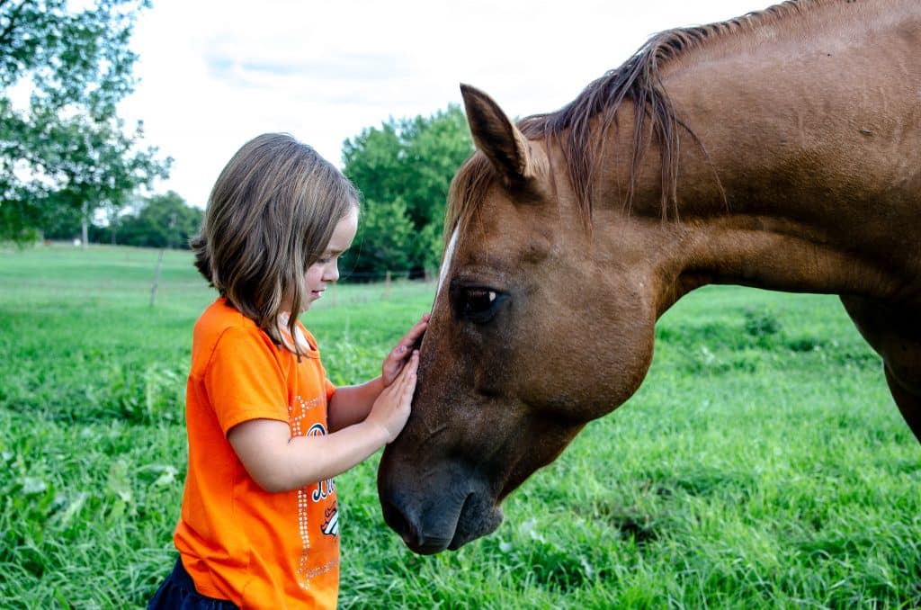 Paardencoach, spiegelen met paarden