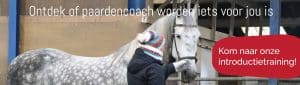 Opleiding tot Paardencoach