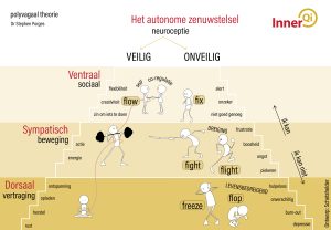 polyvagaal theorie oefeningen, Stephen porges