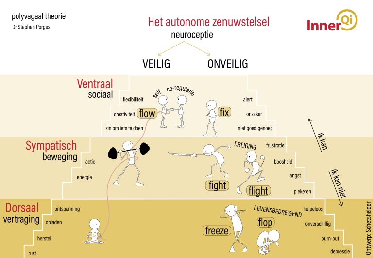 Polyvagaal Theorie Oefeningen: Stimuleer Jouw Veerkracht - InnerQi