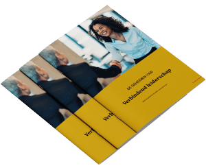 de geheimen van verbindend leiderschap, e-book, e-boek