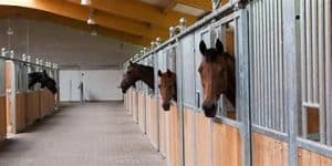 Teambuilding Utrecht, Doorn