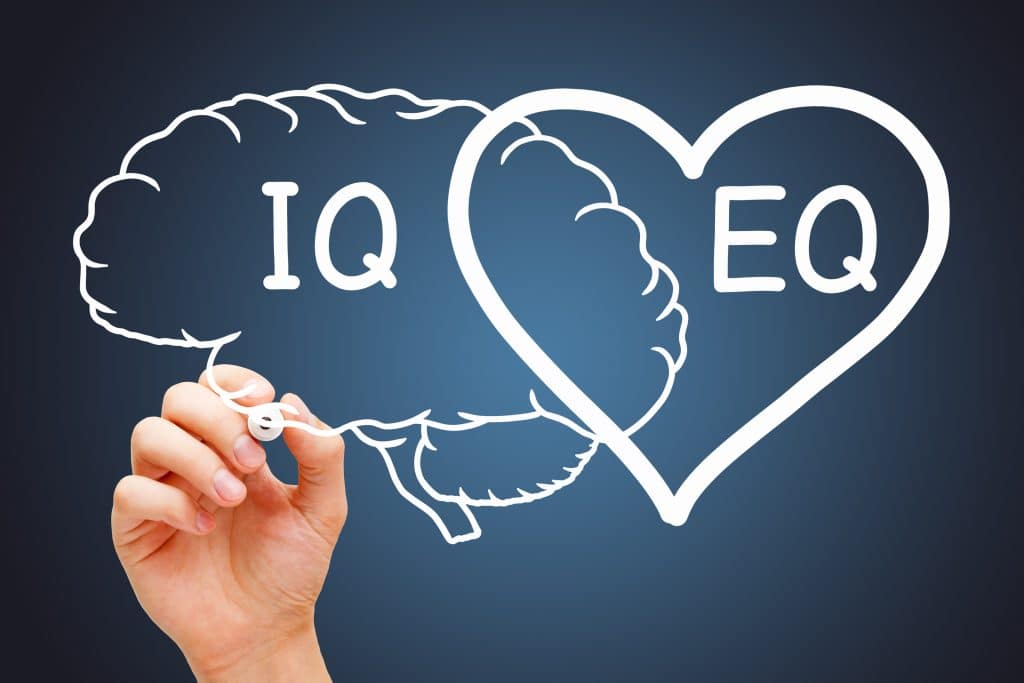 emotionele intelligentie